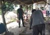 Babinsa Gotong Royong Bersama Masyarakat, Bangun Rumah Warganya