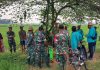 TNI di Lenteng Turun Langsung Ke Sawah Lakukan Pengendalian Hama Padi