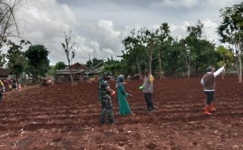 Babinsa Dan Bhabinkamtibmas Kompak Bantu Petani Tanam Jagung di Kecamatan Talanggo