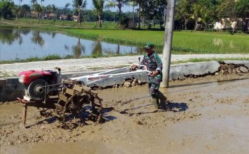 Babinsa Lenteng Bantu Petani Bajak Sawah Jelang Musim Tanam II