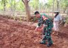 Babinsa Koramil 0827/02 Kalianget Bantu Petani Tanam Bibit Jagung di Desa Poteren