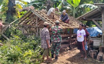 Babinsa Koramil 14/Batang Batang Bersama Warga Laksanakan Karya bakti Pembuatan Kandang Sapi Warga