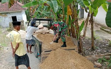 Babinsa Bantu Warga Turunkan Material Koral untuk Pembangunan Rumah di Guluk Guluk