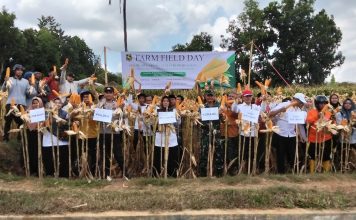 Danramil Dasuk Dorong Produktivitas Petani Lewat Panen Jagung Hibrida