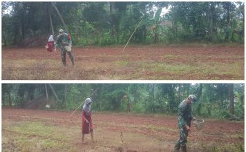 Dorong Ketahanan Pangan, Babinsa Lenteng Bantu Warga Tanam Jagung di Desa Ellak Laok