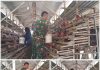 Babinsa Koramil 04/Bluto Komsos dengan Peternak Ayam Petelur