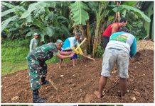 TNI di Kecamatan Batang Batang Bantu Warga Ratakan Timbunan Tanah Bangun Jalan Desa