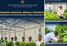 Menanam Harapan,Menuai Perubahan : Warga Binaan Rutan Batam Berhasil Panen Selada Dan Timun