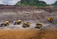 Saham PT Bukit Asam Tbk Melonjak 27,63%, Investor Asing Borong Jelang Musim Dividen