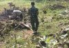 Babinsa Koramil 06/Saronggi Kodim 0827/Sumenep Laksanakan Karya Bakti Pembersihan Lahan Pertanian