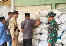 Kawal Panen Padi, Babinsa Manding Pastikan Gabah Petani Terserap Optimal