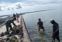 Babinsa Sapeken dan Warga Bangun Tangkis Laut, Bentengi Harapan Pesisir