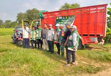 Babinsa Turun Sawah Kawal Panen, Gabah Petani Slopeng Langsung Terserap