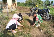 Babinsa Guluk Guluk Bersama Warga Bersihkan Rumput Liar di Desa Payudan