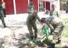 Dandim Sumenep Tanam Mangga, Optimalkan Lahan Koperasi Merah Putih