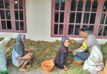 Polsek Rubaru Polres Sumenep Dukung Katahanan Pangan Melalui Panen Bawang Merah Program P2B
