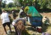 Di Tengah Kemarau, Babinsa dan Petani di Sumenep Panen 2,5 Ton Gabah