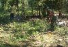 Babinsa Saronggi Bersama Warga Gelar Kerja Bakti Bersihkan Kebun, Wujudkan Lingkungan Bersih dan Produktif