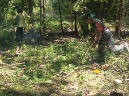 Babinsa Saronggi Bersama Warga Gelar Kerja Bakti Bersihkan Kebun, Wujudkan Lingkungan Bersih dan Produktif