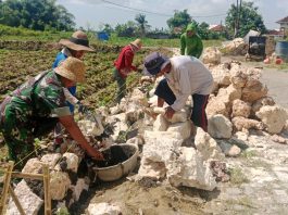 Babinsa Kota Bantu Warga Bangun Saluran Irigasi di Desa Gung Gung