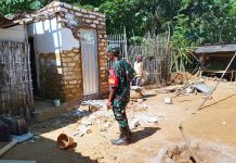 Babinsa Koramil Gapura Bantu Warga Bangun Rumah dan Kamar Mandi, Wujud Nyata Kemanunggalan TNI dengan Rakyat