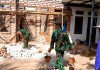 Babinsa Batuputih Gotong Royong Bangun Rumah Faisol, Progres Tembus 50 Persen