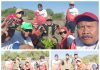 Harkopnas Ke- 79 Dekopinda Sumenep Bersinergi dengan DKUPP, Gerakan koperasi dan Perbankan, Penghijauan Seribu Mangrove di Pantai Tanjung Saronggi