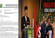 Polemik PETI Kotanopan Kian Memanas, Bupati Tegaskan Nasib Kades Singengu Julu Ditentukan Pekan Depan