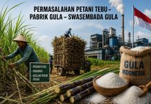 Permasalahan Petani Tebu, Pabrik Gula, dan Jalan Panjang Menuju Swasembada Gula