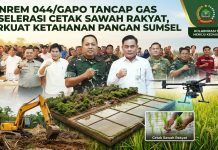 Danrem 044/Gapo Tancap Gas Akselerasi Cetak Sawah Rakyat, Perkuat Ketahanan Pangan Sumsel