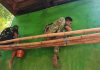 Jembatan Belimbing Terus Dipoles, TNI Perkuat Akses Warga Lanjuk
