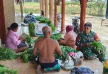Babinsa Muangan Jalin Komsos dengan Petani Kangkung, Dorong Ketahanan Pangan Warga