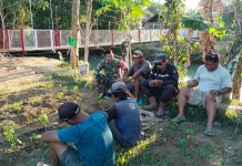 Babinsa Kopda Fendi Sambangi Petani Cabe di Desa Pakandangan Kabupaten Sumenep