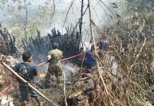 Diduga Berawal dari Bakar Sampah, Api Hanguskan Empat Kandang Sapi di Pasongsongan