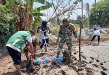 Babinsa Serma Moh Jakfar Ajak Warga dan PPL Percepat Tanam Padi Secara Modern, Dukung Ketahanan Pangan di Wilayah Madura